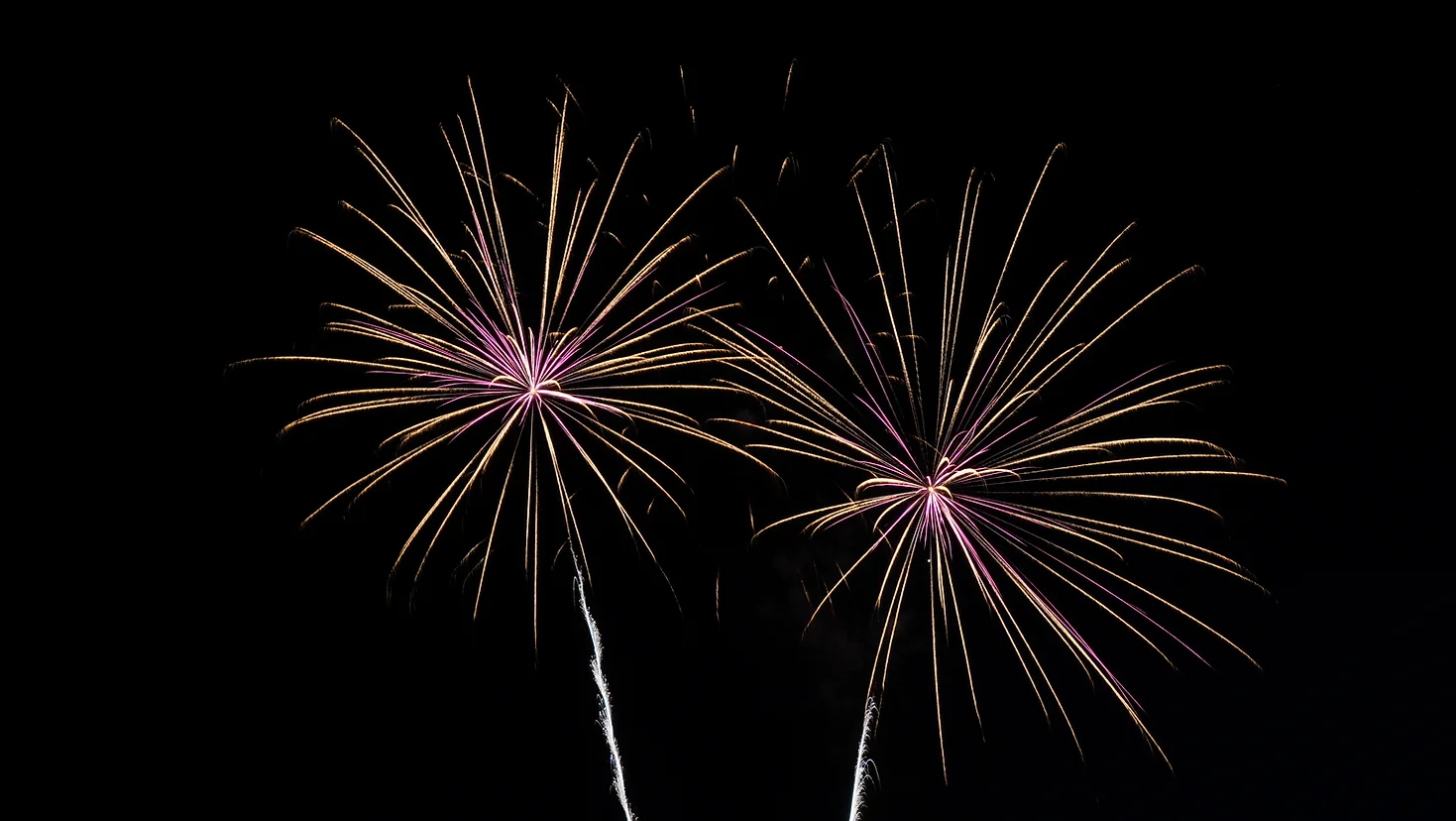 Darley Moor Bonfire and Fireworks Rally